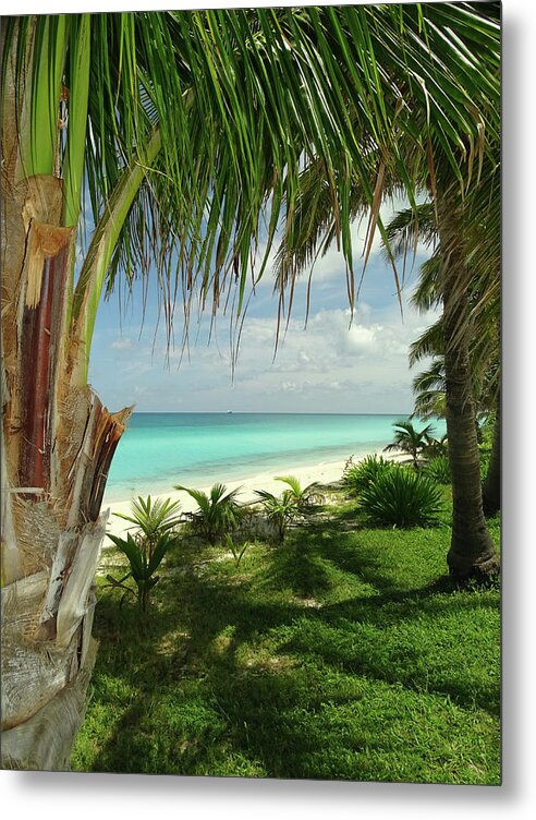 Bimini Metal Print featuring the photograph Inviting Bimini Beach Between 2 Palm Trees by Dan Podsobinski