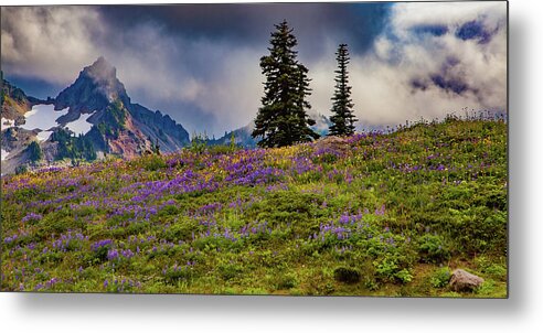 Tf-photoscapes Metal Print featuring the photograph Alpine Gardens Mt Rainier by Tommy Farnsworth