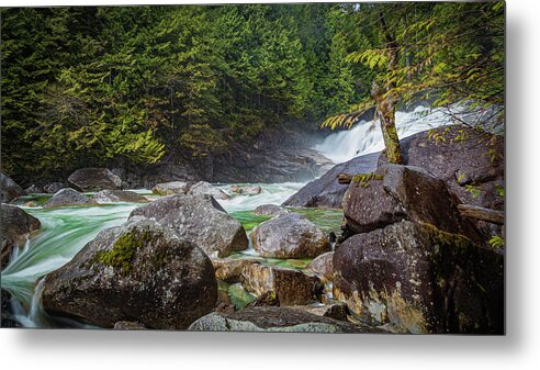 _canada-golden-ears Metal Print featuring the photograph The Woods by Tommy Farnsworth