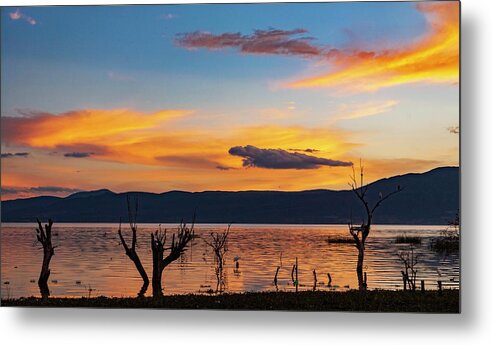 _earthscapes Metal Print featuring the photograph Lake Side in Ajijic Area by Tommy Farnsworth