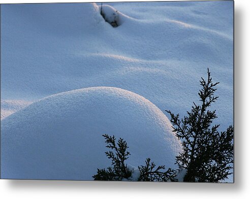Snow Metal Print featuring the photograph Fresh Snow by Tommy Farnsworth