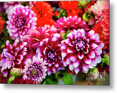 Flowers Metal Print featuring the photograph Colorful dahlias at the farmer's market by Bruce Block