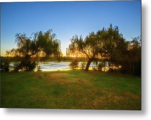 Mad About Wa Metal Print featuring the photograph Golden Lake, Yanchep National Park by Dave Catley