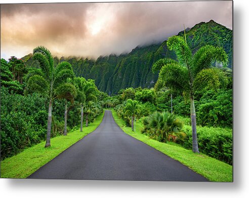 The Green Path Mountains Hawaii Metal Print featuring the photograph The Green Path by Leonardo Dale