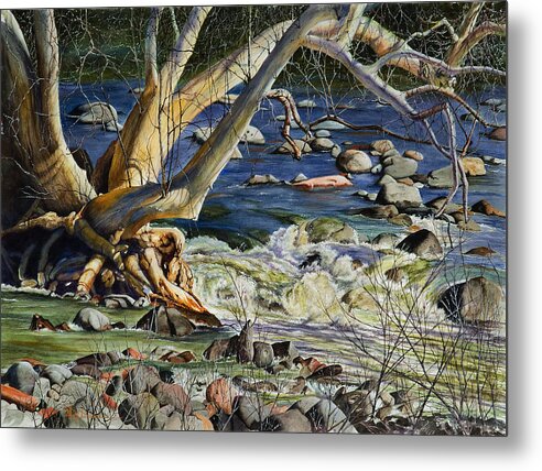 Mary Dove Art Metal Print featuring the painting Sedona Dry Beaver Creek Sycamore by Mary Dove
