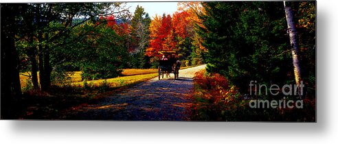  Acadia Metal Print featuring the photograph Acadia national park carriage trail fall by Tom Jelen