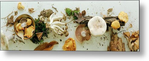 Fruits Metal Print featuring the photograph An Assortment Of Mushrooms by Romulo Yanes