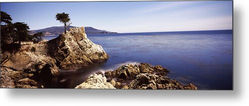 Photography Metal Print featuring the photograph Cypress Tree At The Coast, The Lone #1 by Panoramic Images