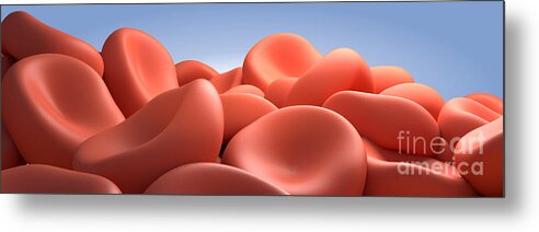 Three Dimensional Metal Print featuring the digital art Conceptual Image Of Red Blood Cells #3 by Stocktrek Images