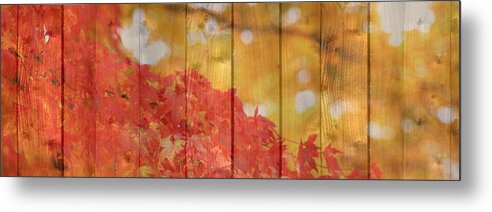 Autumn Metal Print featuring the photograph Autumn Outdoors 1 of 2 by Beverly Claire Kaiya