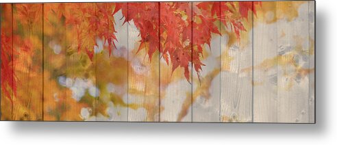 Autumn Metal Print featuring the photograph Autumn Outdoors 2 of 2 by Beverly Claire Kaiya