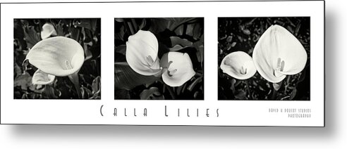Collage Metal Print featuring the photograph Calla Lilies Horizontal with Title and Nameplate by David Doucot