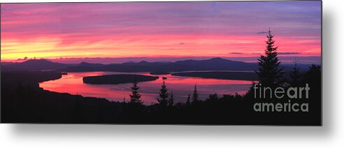 Pink Metal Print featuring the photograph Calm Before the Storm by Jane Axman