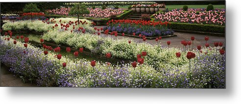 Photography Metal Print featuring the photograph Flowers In A Garden, Butchart Gardens by Panoramic Images