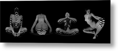 Striped Nude Metal Print featuring the photograph H Stripe Series One Sensual Zebra Woman Abstract Black White Nude 1 to 3 Ratio by Chris Maher