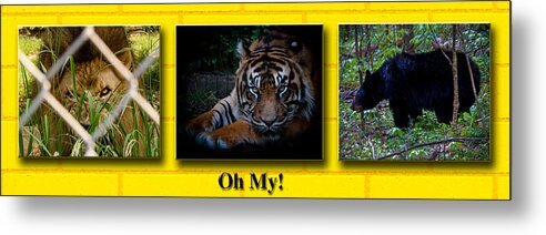 Lions Metal Print featuring the photograph Oh My by Robert L Jackson
