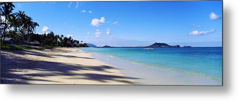 Photography Metal Print featuring the photograph Palm Trees On The Beach, Lanikai Beach by Panoramic Images