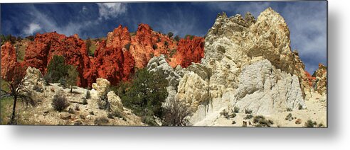 Landscape Metal Print featuring the photograph Red Rock Canyon by James Eddy