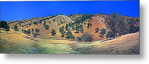 Atascadero Metal Print featuring the photograph Rolling Hills in the Summer by Wernher Krutein