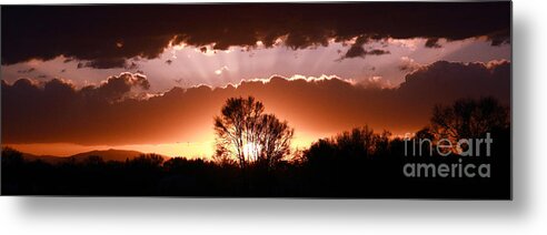 Landscape Metal Print featuring the photograph Summer Sunset by Steven Reed