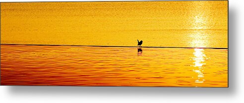 Aboretum Metal Print featuring the photograph Sunset Silhouette by Darryl Dalton