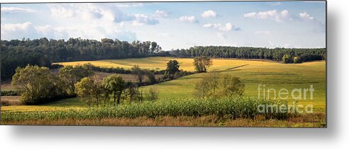 Landscape Metal Print featuring the photograph Tennessee Valley by Todd Blanchard