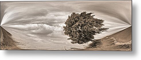 Tree Metal Print featuring the photograph Tree by Andrei SKY
