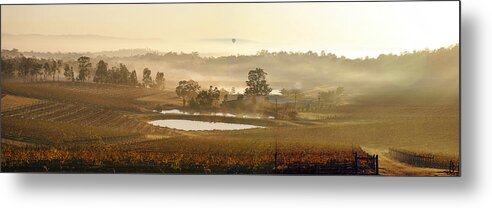 Hunter Valley Metal Print featuring the photograph Wine Country by Rick Drent