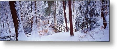 Photography Metal Print featuring the photograph Winter Footbridge Cleveland Metro by Panoramic Images