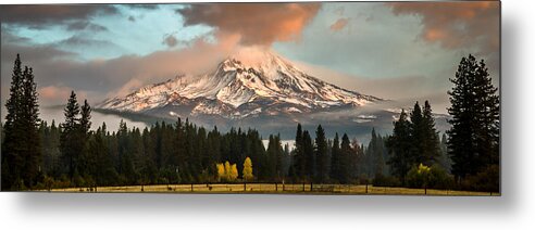 Landscape Metal Print featuring the photograph Meadow Views by Randy Wood