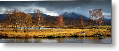 Loch Ba Metal Print featuring the photograph Autumn Birches by Peter OReilly