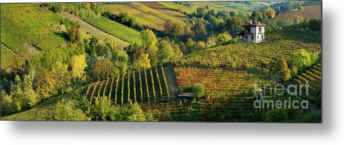 Barolo Metal Print featuring the photograph Barolo Vineyards by Brian Jannsen