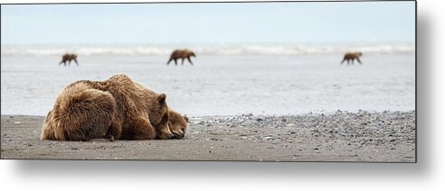 Lake Clark National Park Metal Print featuring the photograph Down Time by Ann Skelton