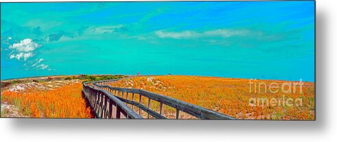 Florida Metal Print featuring the photograph Florida sand dunes Atlantic New Smyrna beach by Tom Jelen