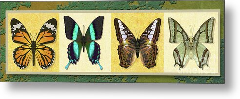  Butterfly Metal Print featuring the digital art Four Butterfly variation by Melissa A Benson
