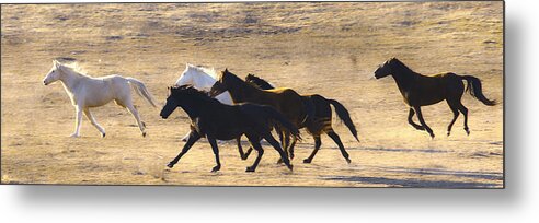 Equine Metal Print featuring the photograph Hear the Thunder by Ron McGinnis