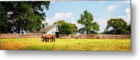 Color Metal Print featuring the photograph Louisa County -2 by Alan Hausenflock