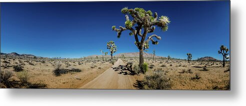 Blue Metal Print featuring the photograph Panorama of Sandy Desert Road with Joshua Trees by Kelly VanDellen