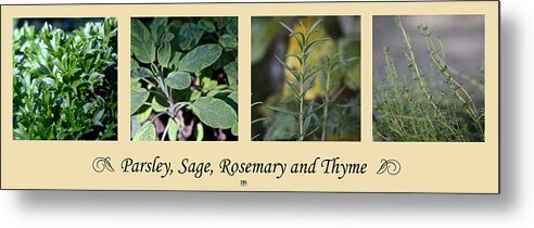 Herbs Metal Print featuring the photograph Parsley Sage Rosemary and Thyme by John Meader