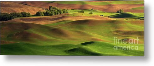 Farmland Metal Print featuring the photograph Springtime on the Palouse by Beve Brown-Clark Photography