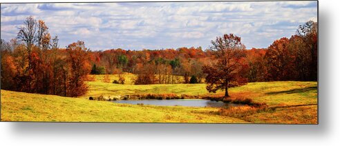 Color Metal Print featuring the photograph Trees of Crimson by Alan Hausenflock