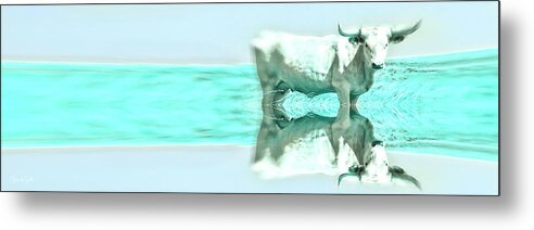 Turquoise Metal Print featuring the photograph Turquoise and Steer by Amanda Smith