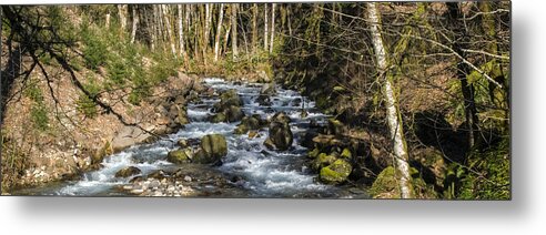 Streams Metal Print featuring the photograph Views Of A Stream, II by Chuck Flewelling