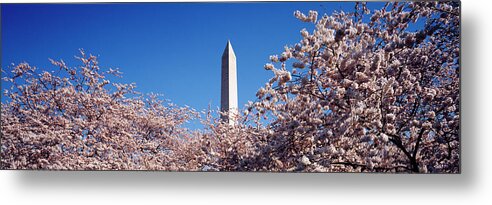 Photography Metal Print featuring the photograph Low Angle View Of Cherry Trees In Front by Panoramic Images