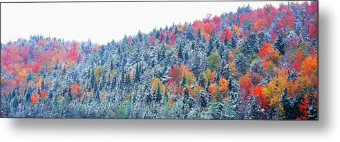 Scenics Metal Print featuring the photograph Snow And Autumn Trees, Adirondack by Visionsofamerica/joe Sohm