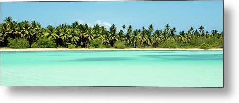 Tropical Metal Print featuring the photograph Tropical Pardise by Emily Navas