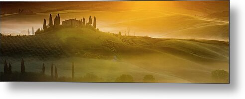Italy Metal Print featuring the photograph Tuscany In Gold by Evgeni Dinev
