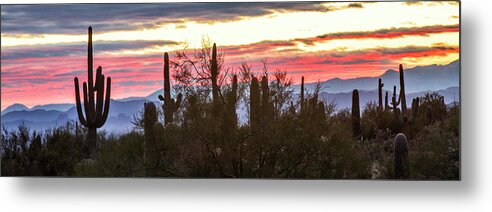  Landscape Metal Print featuring the photograph Sunrise - Saguaro National Park #1 by William Rainey