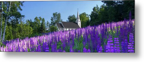 St Metal Print featuring the photograph Lupine Church Panorama by White Mountain Images