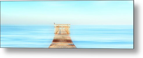  Jetty Metal Print featuring the photograph Pastel Gate by Sean Davey